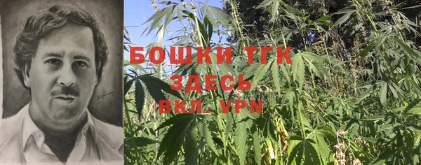 Альфа ПВП Нея