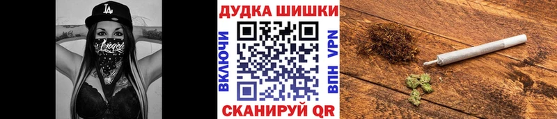 продажа наркотиков  Новомичуринск  Конопля конопля 